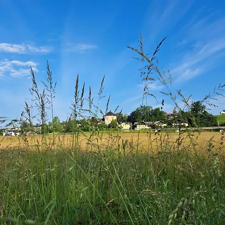 Hotel Haus Am Mit Garten Seekirchen am Wallersee
